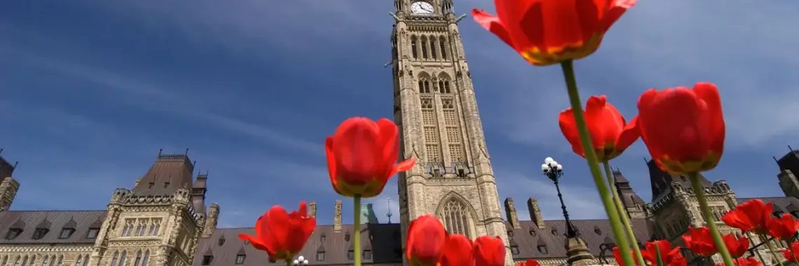 The Ottawa Tulip Festival: When to Go and What to See