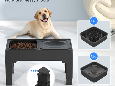 Bols surélevées pour chiens
