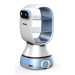 BenBen Service Robot