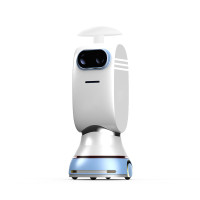 BenBen Spray Disinfection Robot