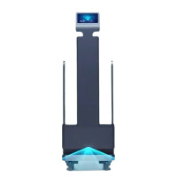 Bigdog Service Robot
