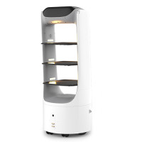 Deligo Service Robot