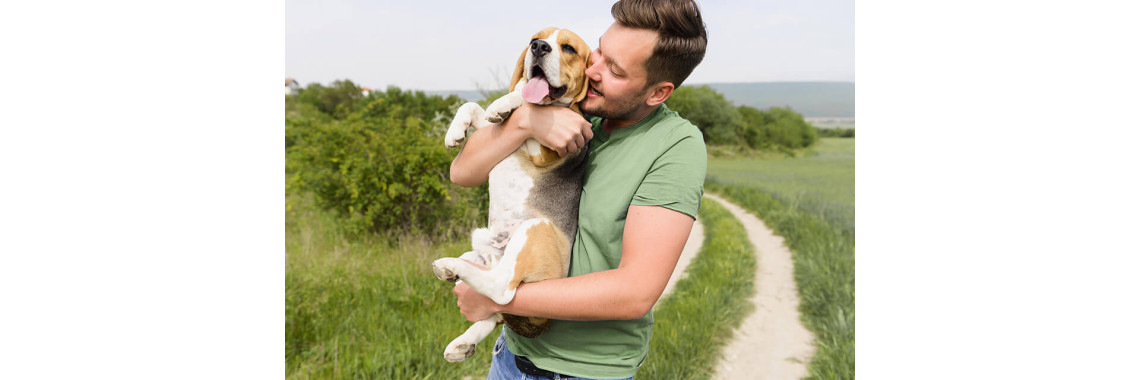 Why Do Dogs Bury Bones and Other Goodies?