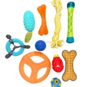 Cat Camp Toy Pack - 20 counts (with storage basket)
