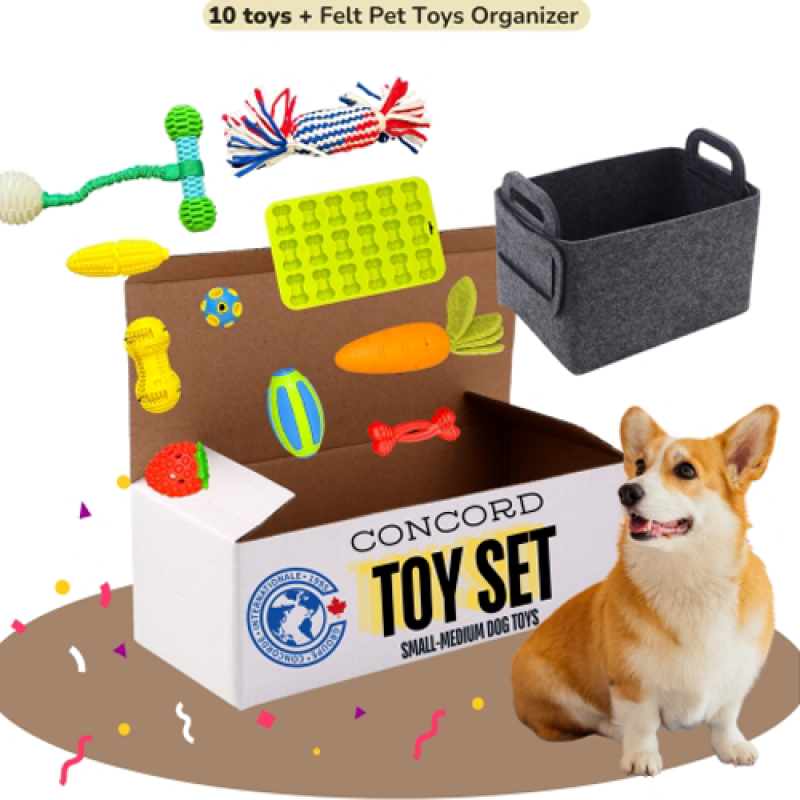 Small-Medium Dog Toys