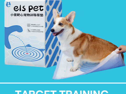 Tapis d'entraînement pour chiens, 50/33*45