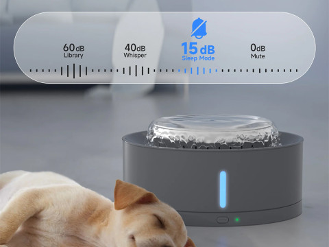 Fontaine à eau automatique pour chien